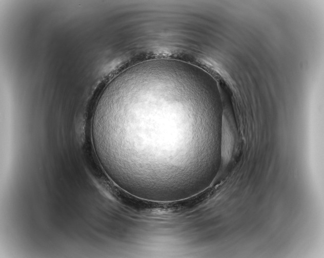 X0000086980496200704301320