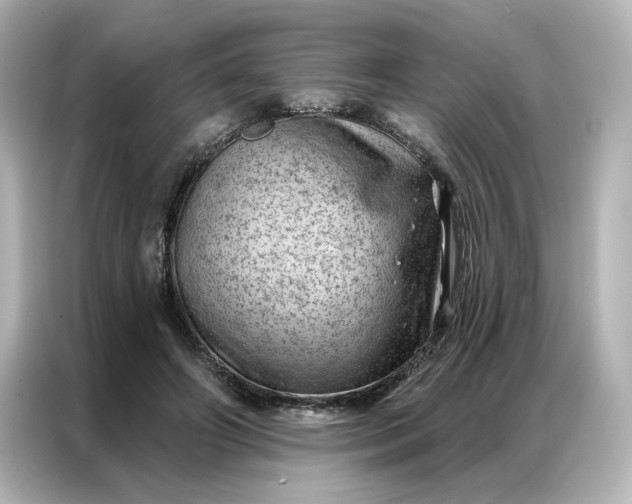 X0000086980498200704301320