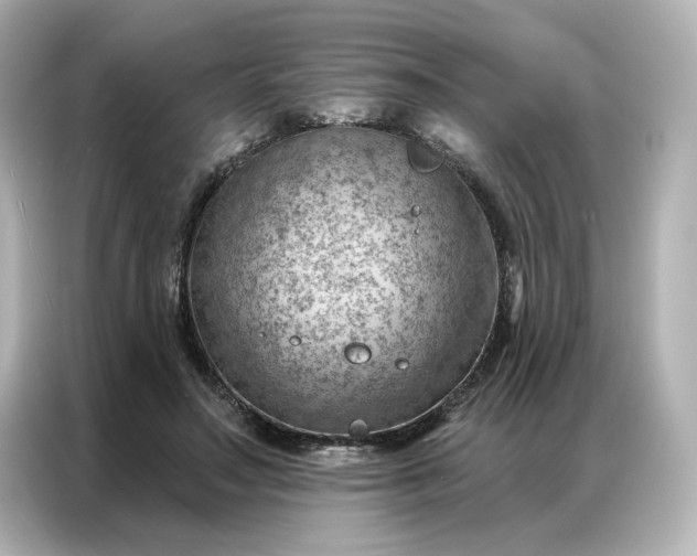 X0000086980499200704301320