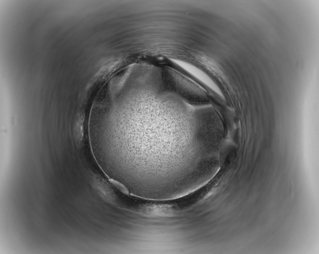 X0000086980501200704301320