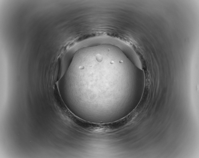 X0000086980504200704301320