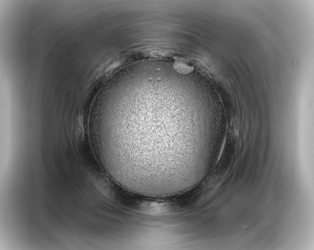 X0000086980506200704301320