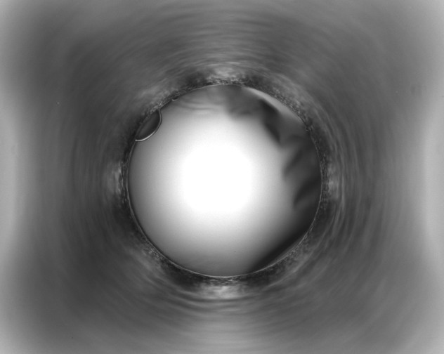 X0000086980514200704301320