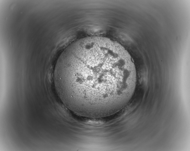 X0000086980515200704301320