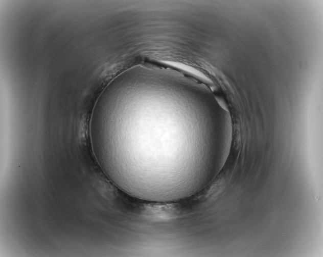 X0000086980517200704301320