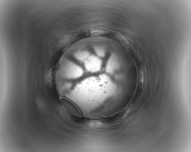 X0000086980519200704301320