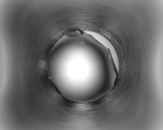 X0000086980521200704301320