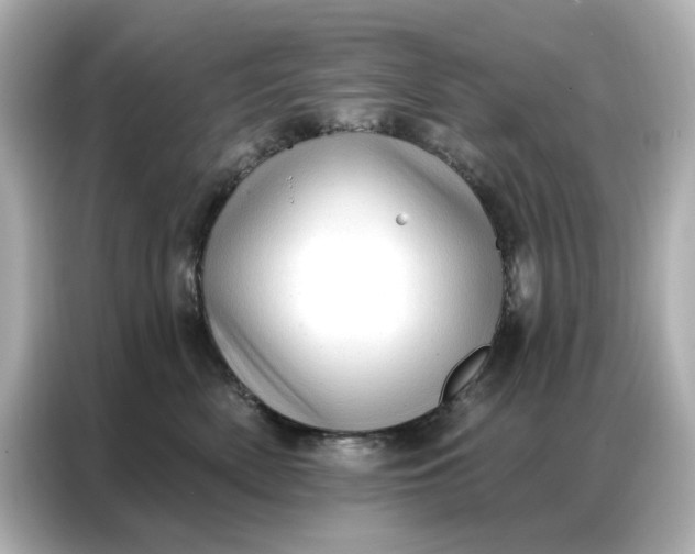 X0000086980522200704301320