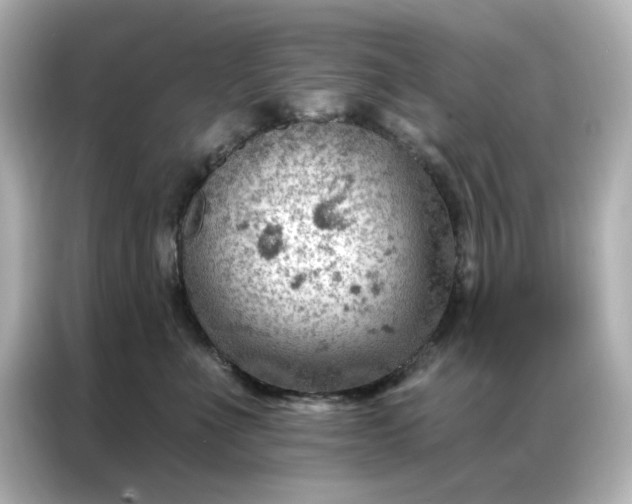 X0000086980523200704301320