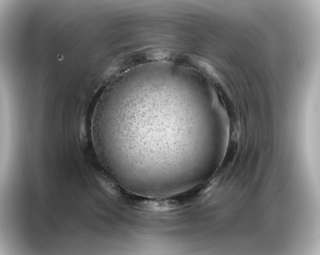 X0000086980524200704301320