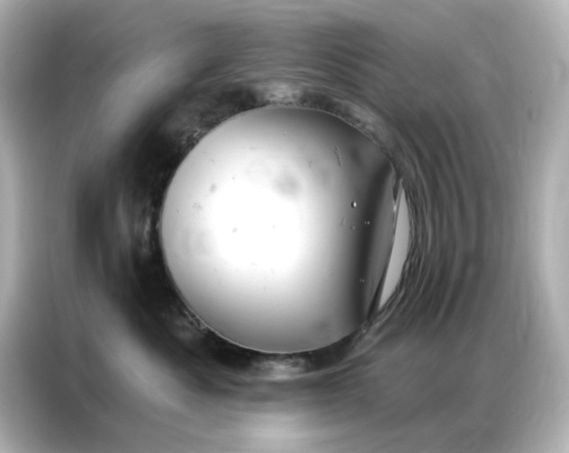 X0000086980525200704301320