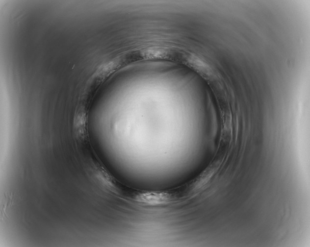 X0000086980526200704301320