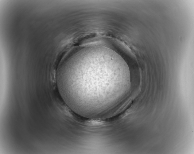 X0000086980528200704301320