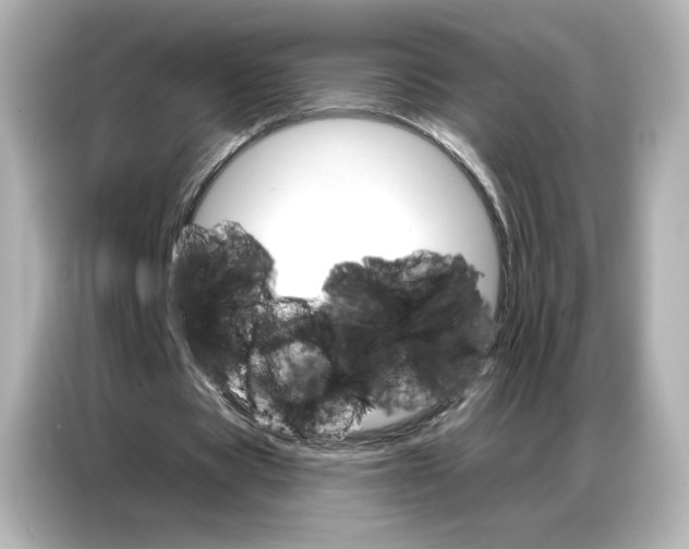 X0000086980529200704301319