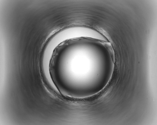 X0000086980530200704301319