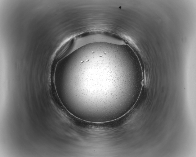 X0000086980531200704301319