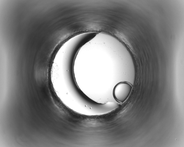 X0000086980534200704301319