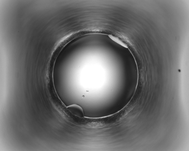 X0000086980536200704301319