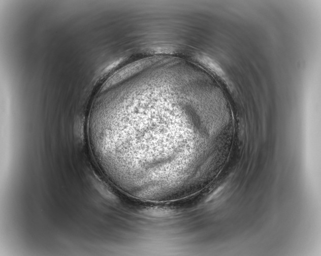 X0000086980537200704301319