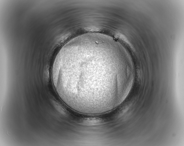 X0000086980541200704301319