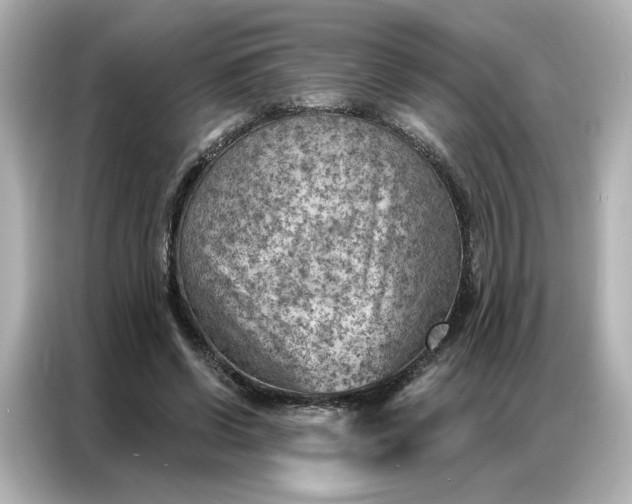 X0000086980542200704301319