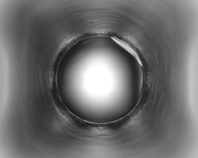 X0000086980544200704301319