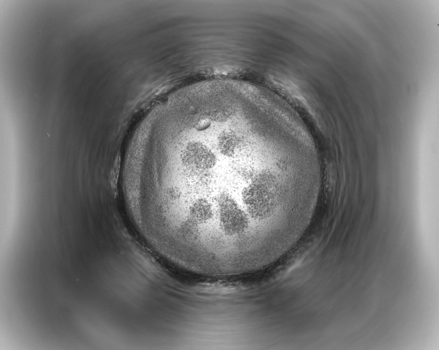 X0000086980545200704301319