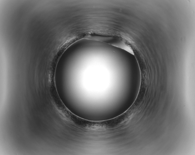 X0000086980546200704301319