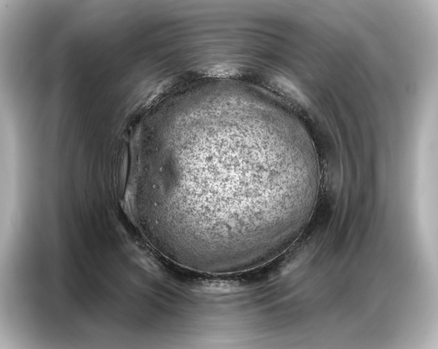 X0000086980549200704301320