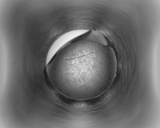 X0000086980551200704301320