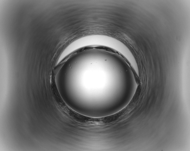 X0000086980552200704301320