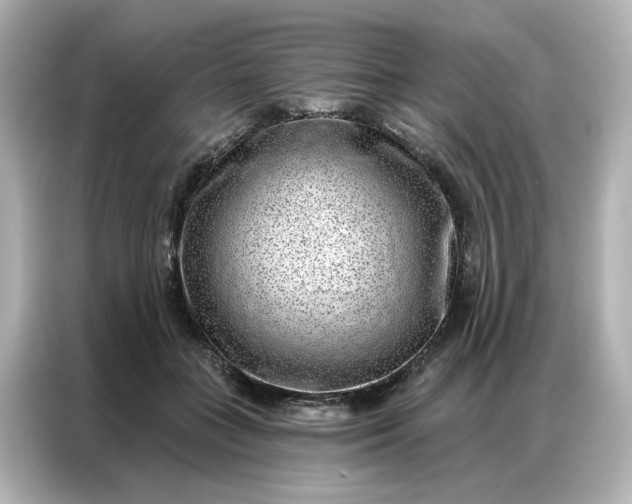 X0000086980555200704301320