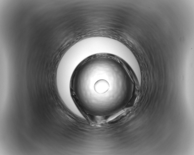 X0000086980558200704301320