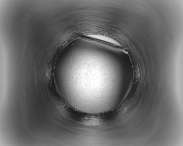 X0000086980559200704301320