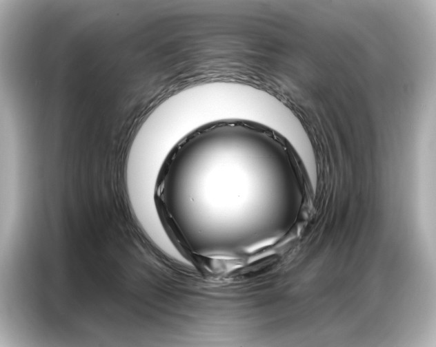 X0000086980562200704301320