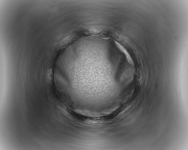 X0000086980563200704301320