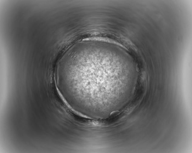 X0000086980565200704301320