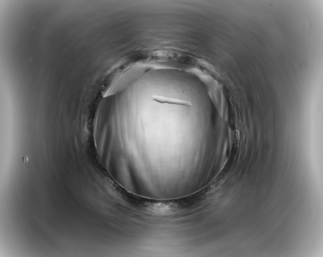 X0000086980566200704301320