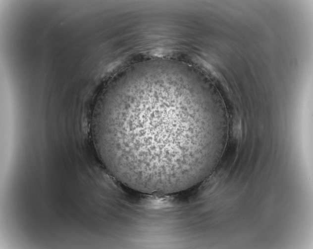 X0000086980569200704301320