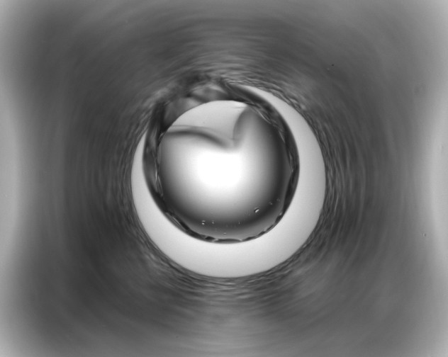 X0000086980570200704301320