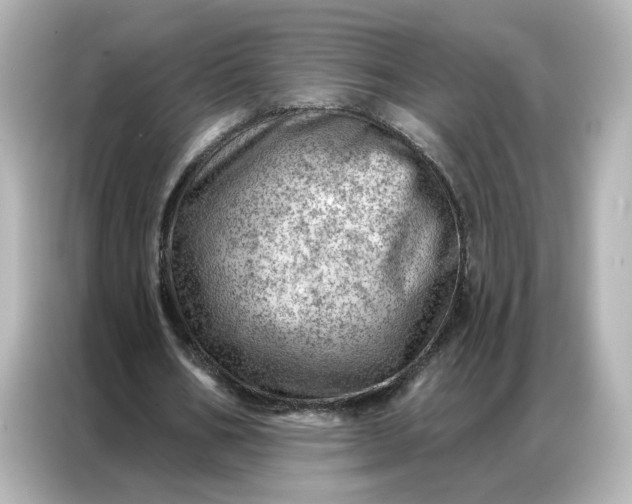 X0000086980578200704301319