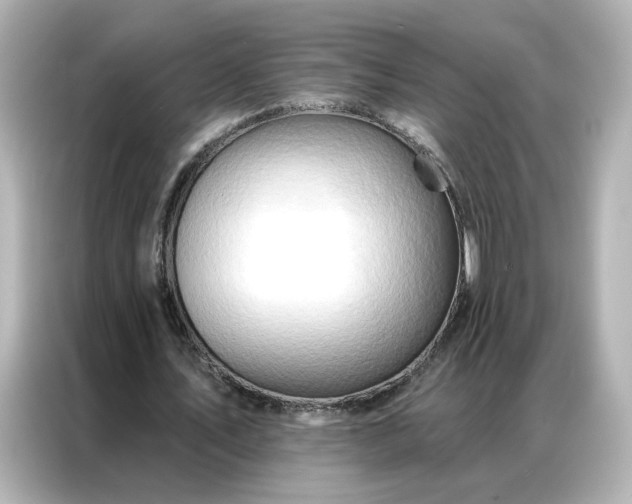 X0000086980579200704301319