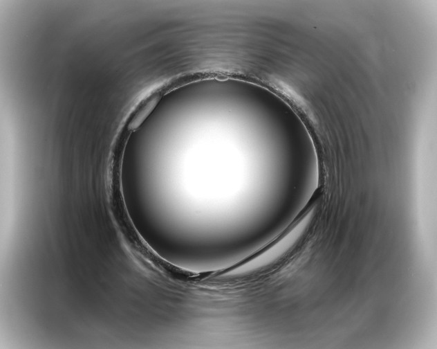 X0000086980580200704301319