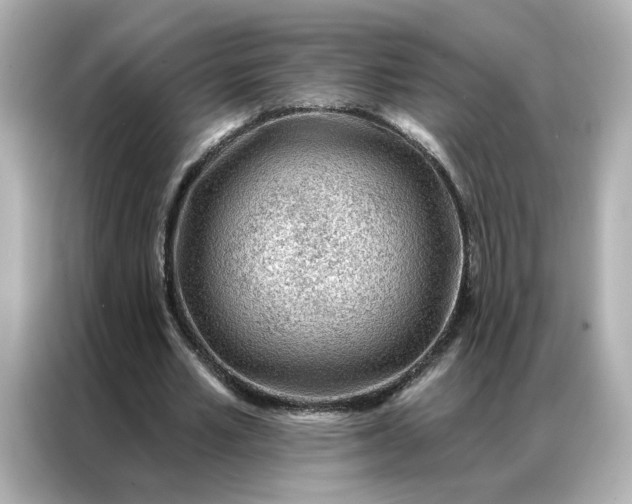 X0000086980581200704301319