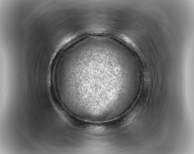 X0000086980582200704301319