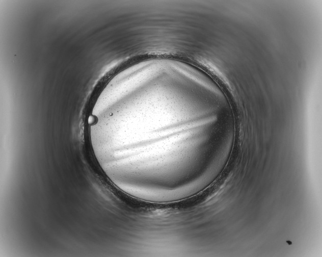 X0000086980584200704301319