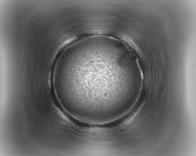 X0000086980585200704301319