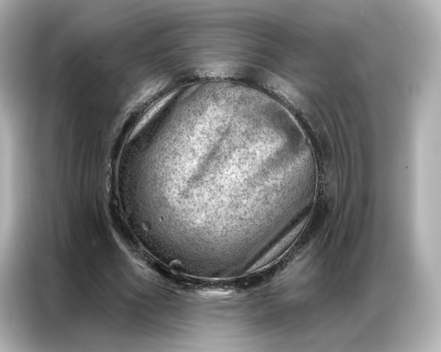 X0000086980586200704301319