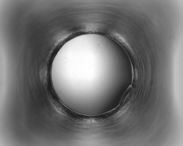 X0000086980588200704301319