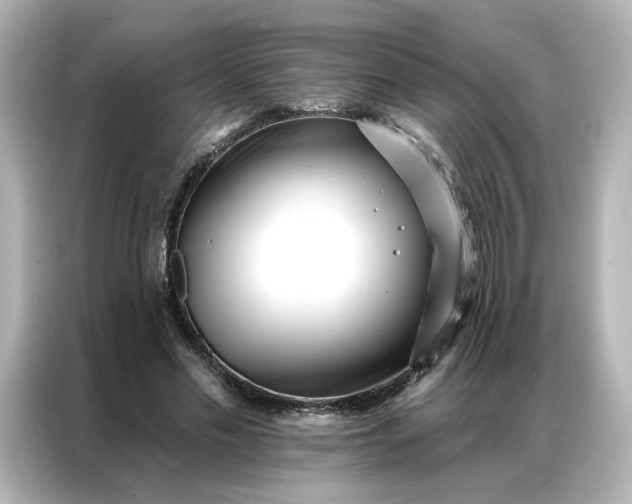 X0000086980589200704301319